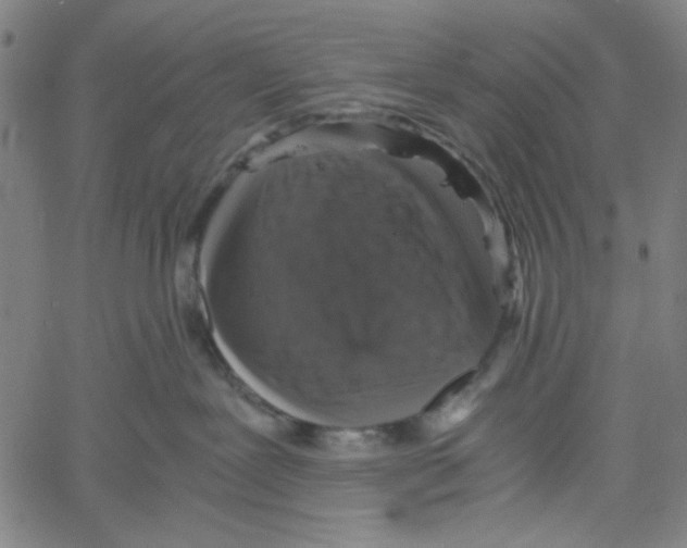 X0000061140239200512161538