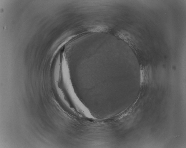 X0000061140243200512161537