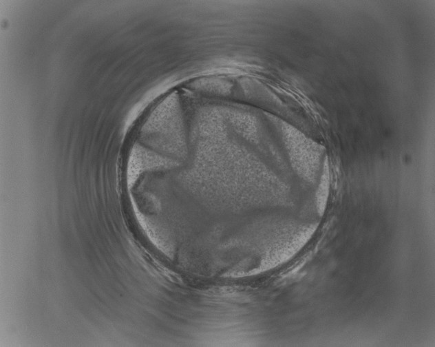 X0000061140244200512161537