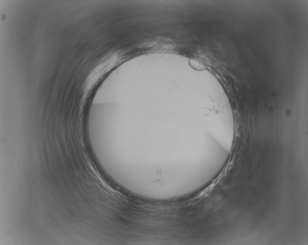 X0000061140245200512161537