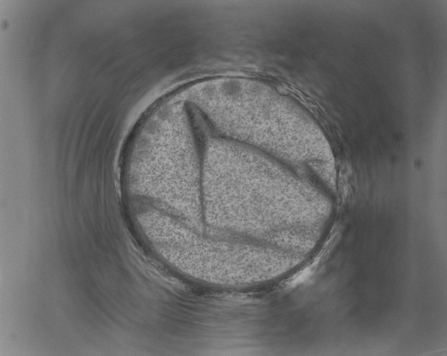 X0000061140246200512161537