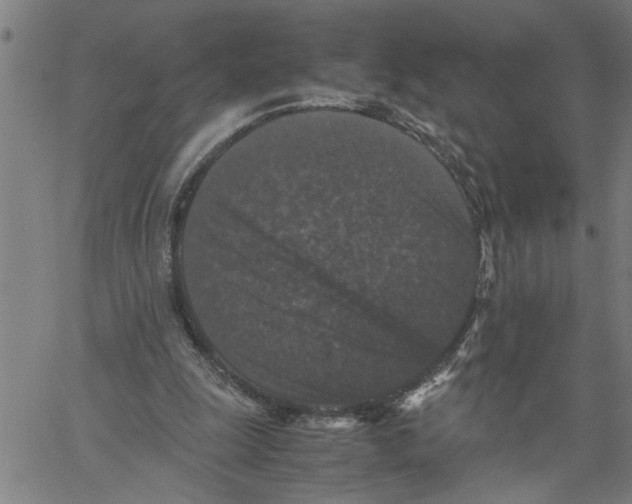 X0000061140247200512161537