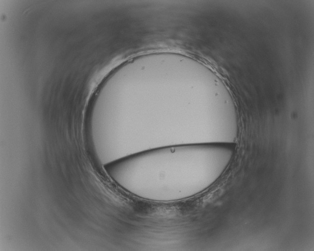 X0000061140248200512161537