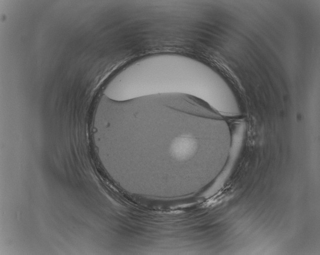 X0000061140251200512161537