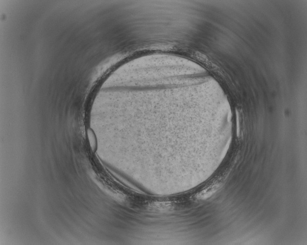 X0000061140252200512161537