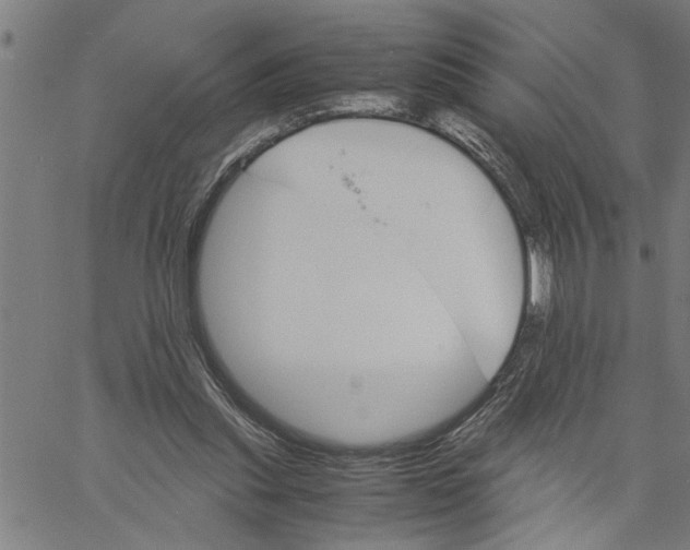 X0000061140253200512161537