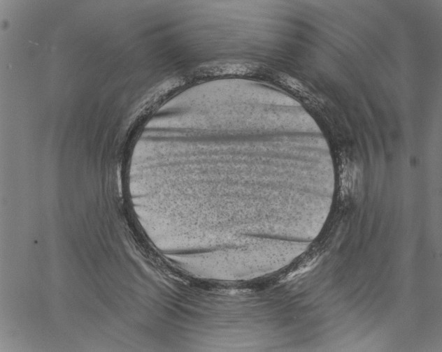 X0000061140254200512161537