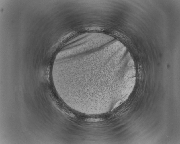 X0000061140255200512161537