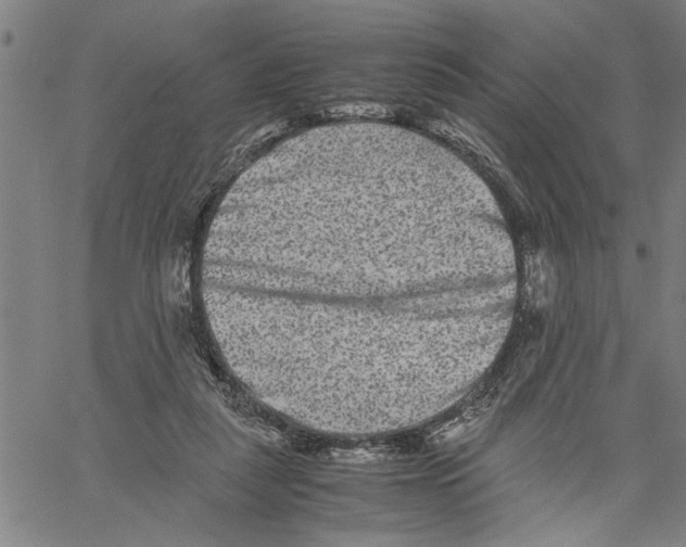 X0000061140259200512161537