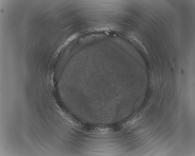 X0000061140260200512161537