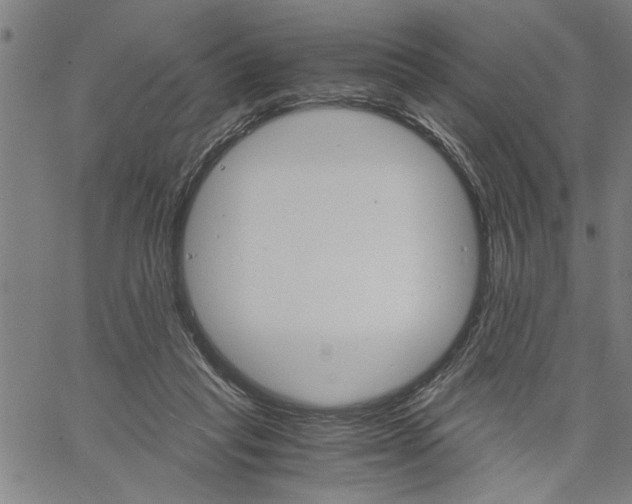 X0000061140261200512161537