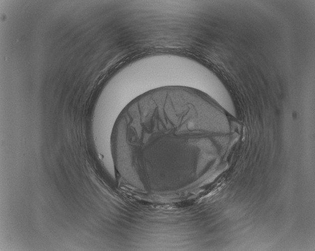 X0000061140262200512161537