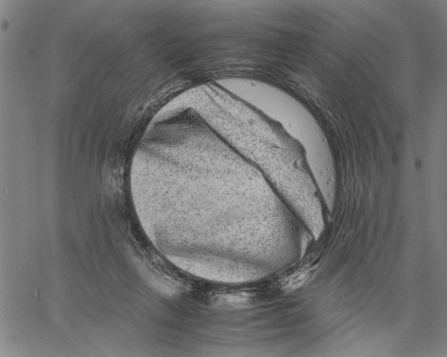 X0000061140263200512161537