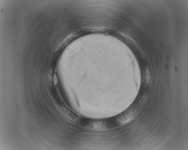 X0000061140264200512161537