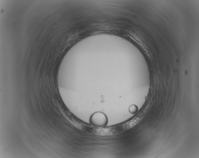 X0000061140265200512161537