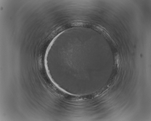 X0000061140267200512161537