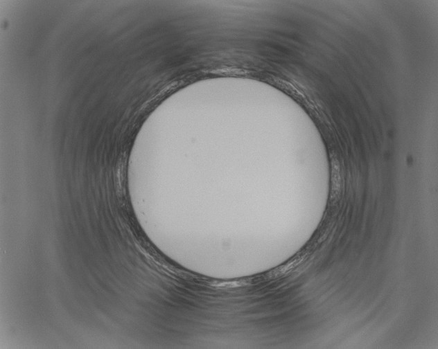 X0000061140269200512161537