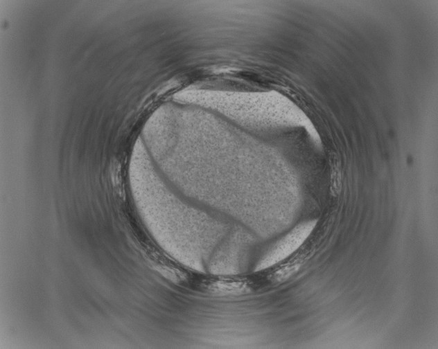 X0000061140270200512161537