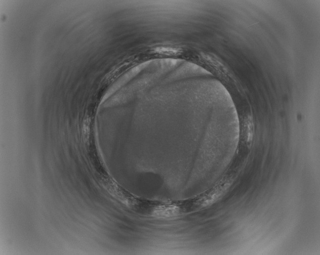 X0000061140271200512161537