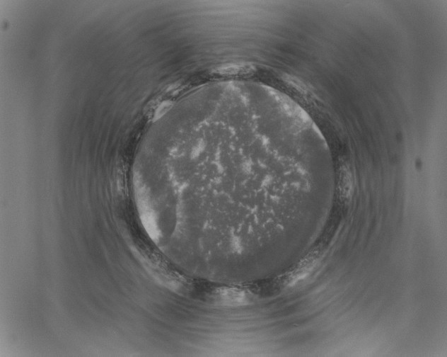 X0000061140272200512161537