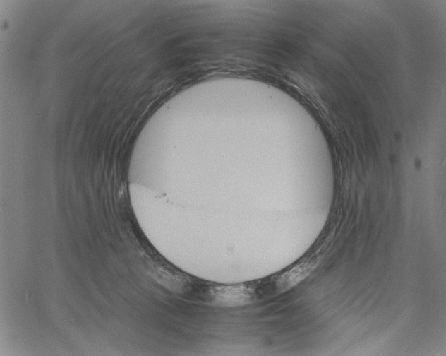 X0000061140273200512161537