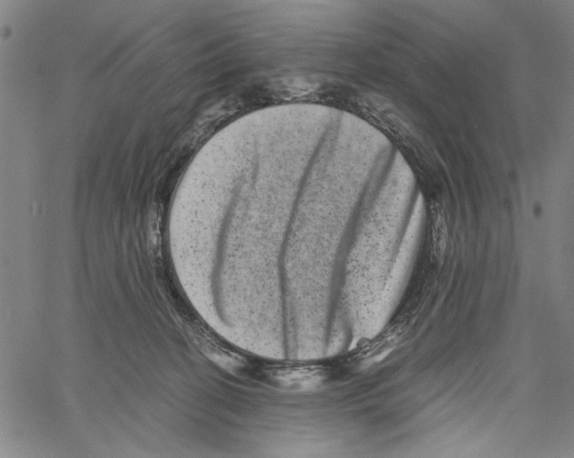 X0000061140274200512161537