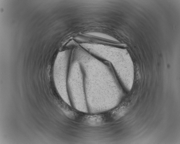 X0000061140275200512161538