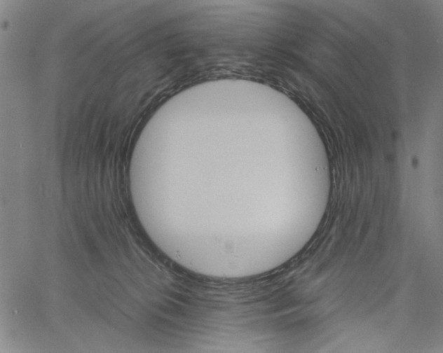 X0000061140276200512161538