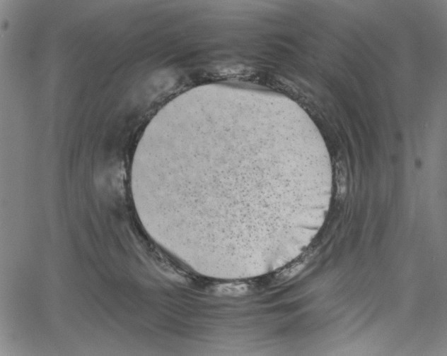 X0000061140279200512161538