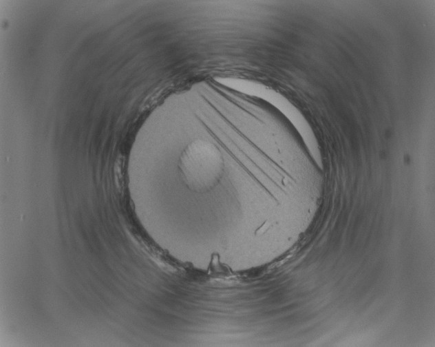 X0000061140280200512161538