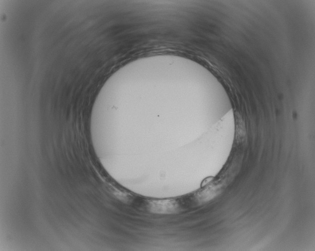 X0000061140281200512161538