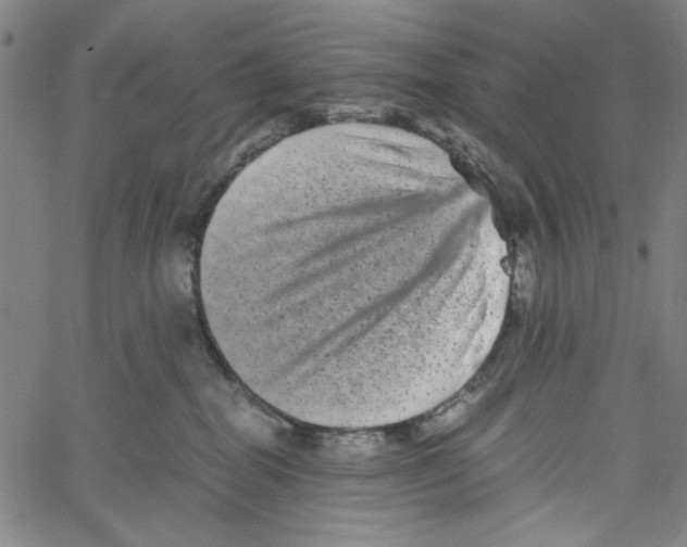 X0000061140282200512161538