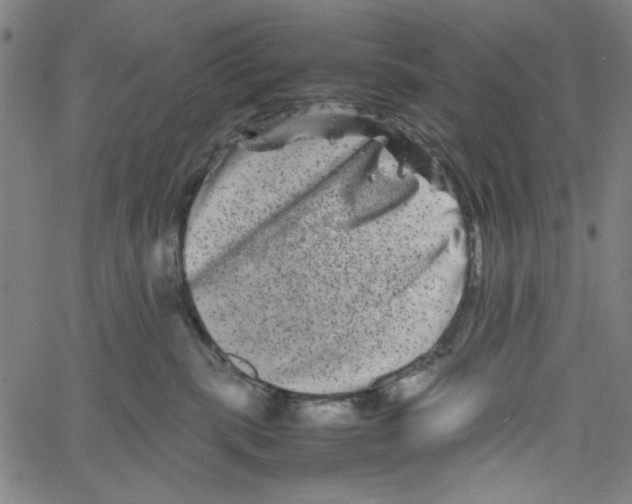 X0000061140283200512161538