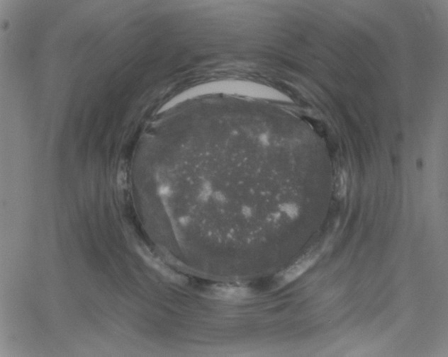 X0000061140284200512161538