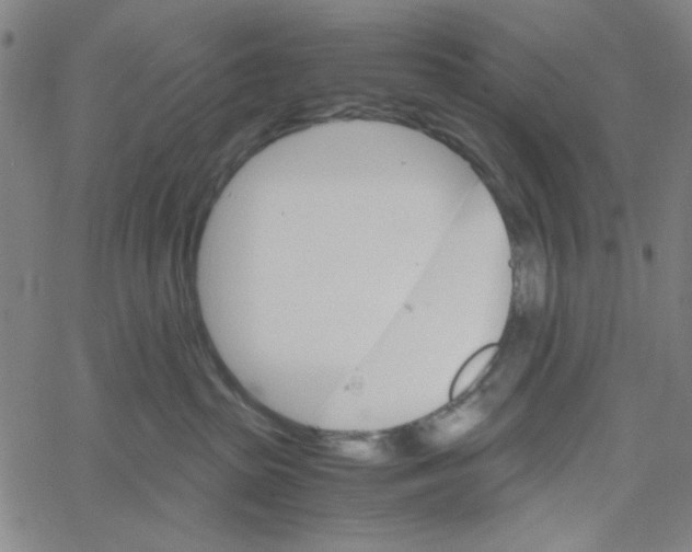 X0000061140285200512161538