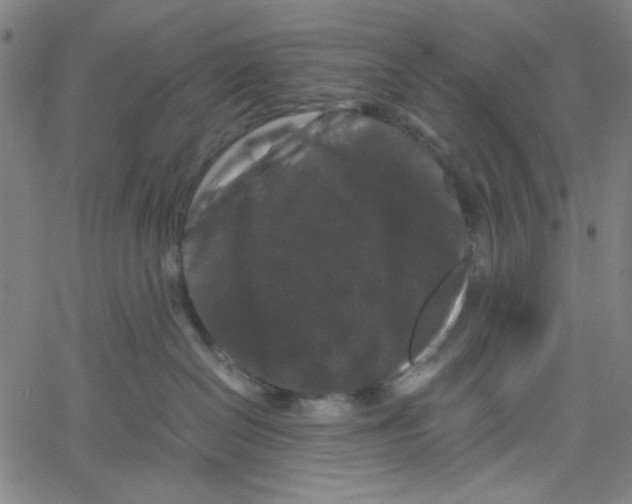 X0000061140286200512161538