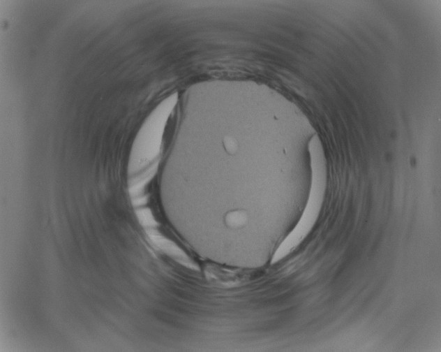 X0000061140287200512161538