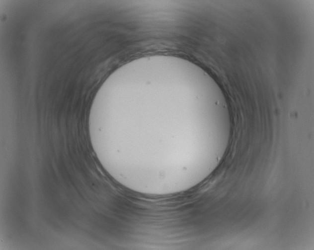 X0000061140288200512161538