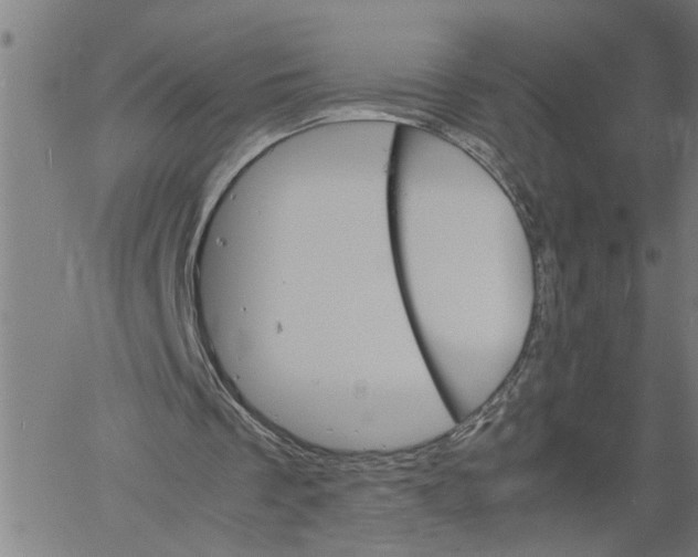 X0000061140289200512161537