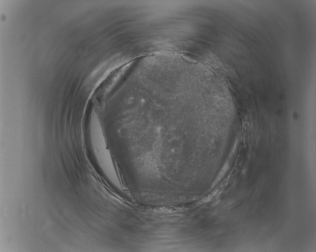 X0000061140290200512161537