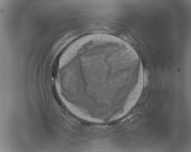 X0000061140291200512161537