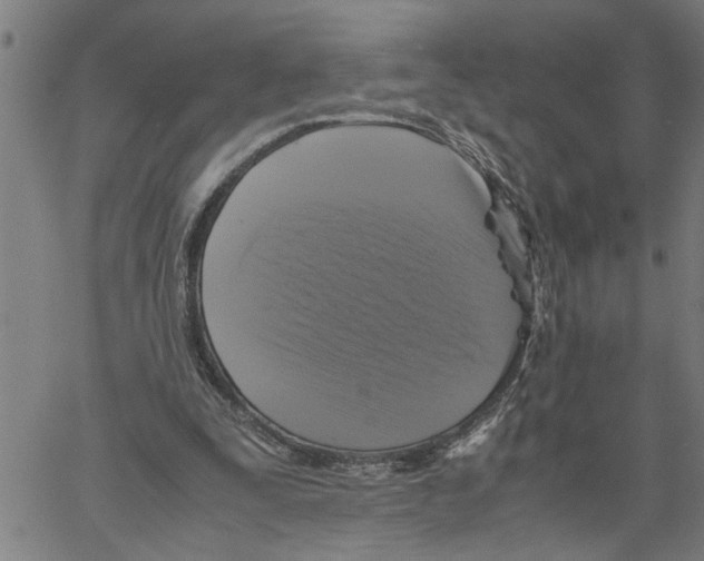 X0000061140295200512161537