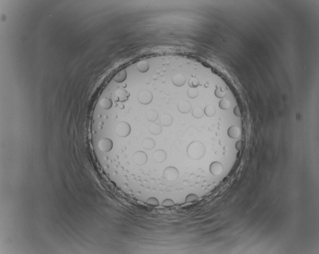 X0000061140297200512161537