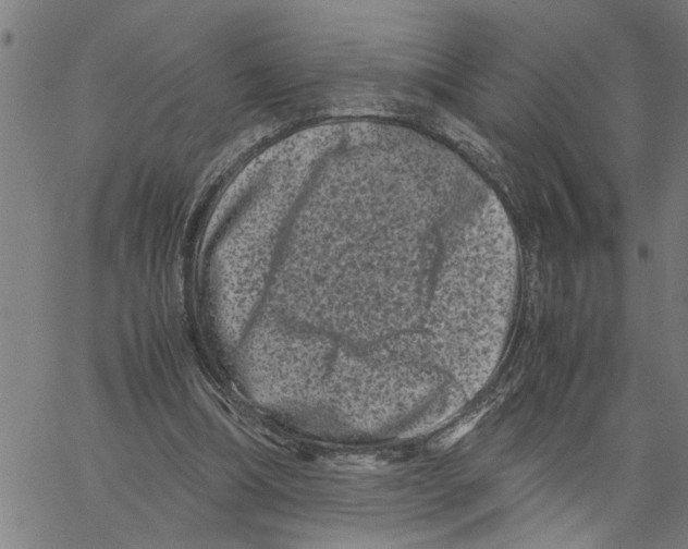 X0000061140298200512161537