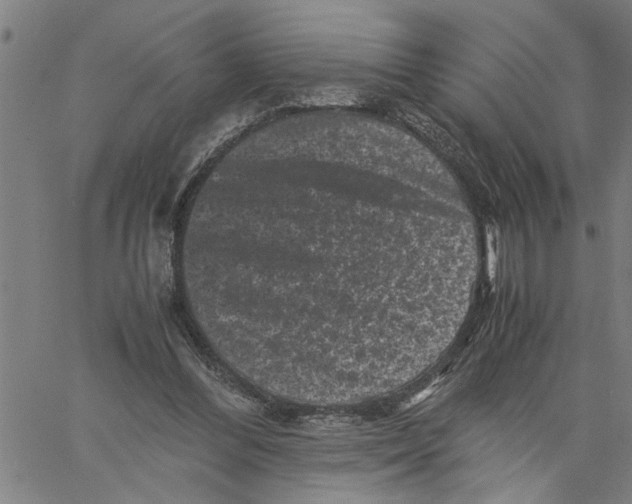 X0000061140300200512161537