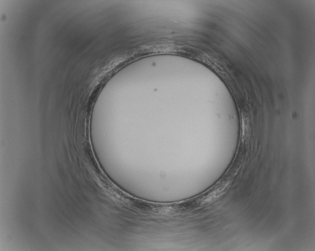 X0000061140301200512161537