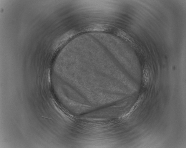 X0000061140302200512161537