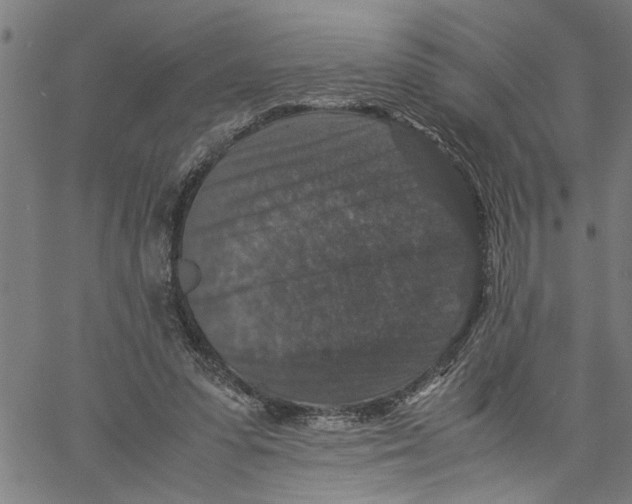 X0000061140303200512161537