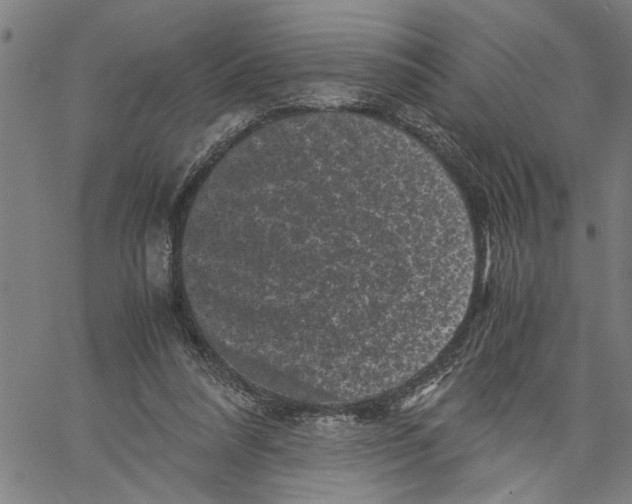 X0000061140304200512161537