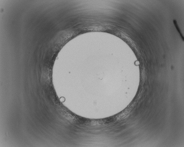 X0000061140305200512161537